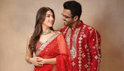 Hansika Motwani Gets Divorced From Sohael Khaturiya, Actress Declines Alimony 990460
