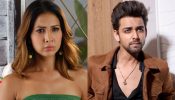 Kim Sharma And Samarth Jurel Locked In For Traitors Season 2? Here's What Reports Say 992770