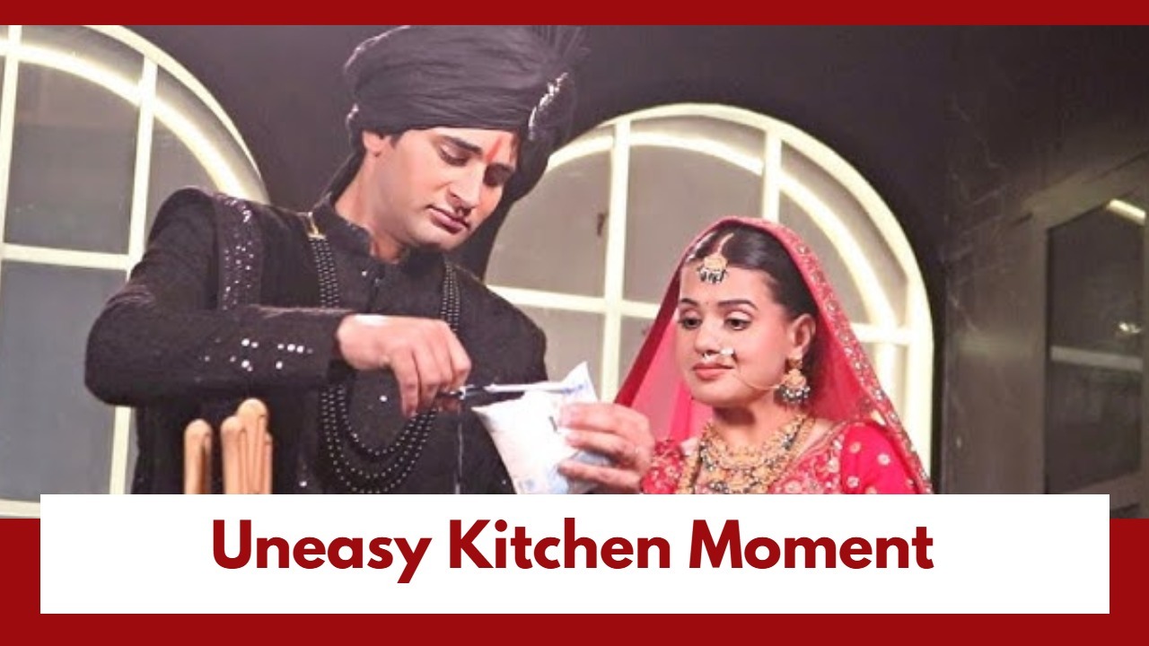Lakshmi Niwas Upcoming Twist: Bhoomika's 'kitchen' mess makes Raj uneasy; Can Bhoomika handle the situation? 990396