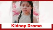 Lakshmi Niwas Upcoming Twist: Niya faces danger of kidnapping; Veer comes to her rescue
