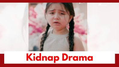 Lakshmi Niwas Upcoming Twist: Niya faces danger of kidnapping; Veer comes to her rescue