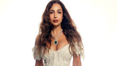 Looking 25 At 52! Malaika Arora Leaves Fans Speechless In A Shimmery Silver Look
