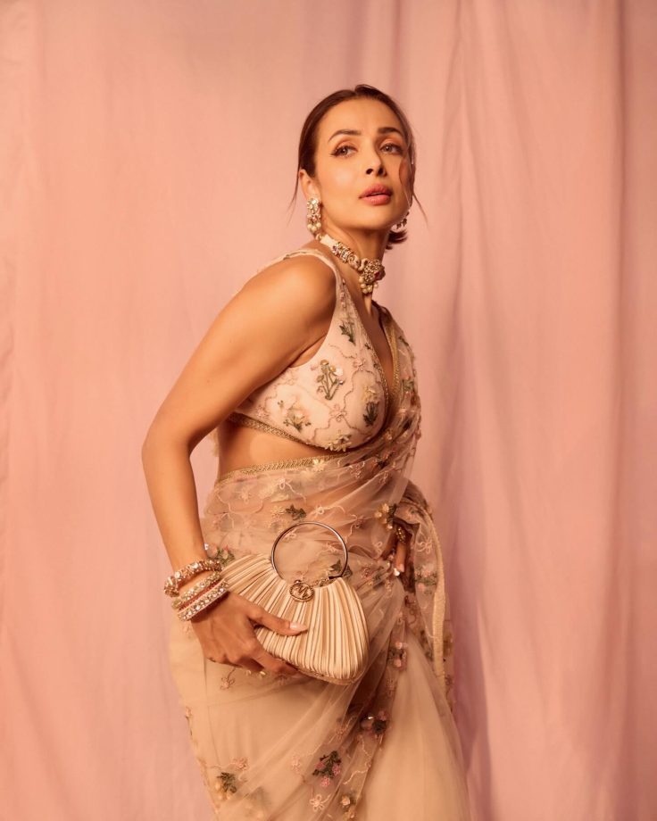 Malaika Arora Sets Hearts Racing In See-Through Pink Saree With Daring V-Neck Blouse: See Pics 991099