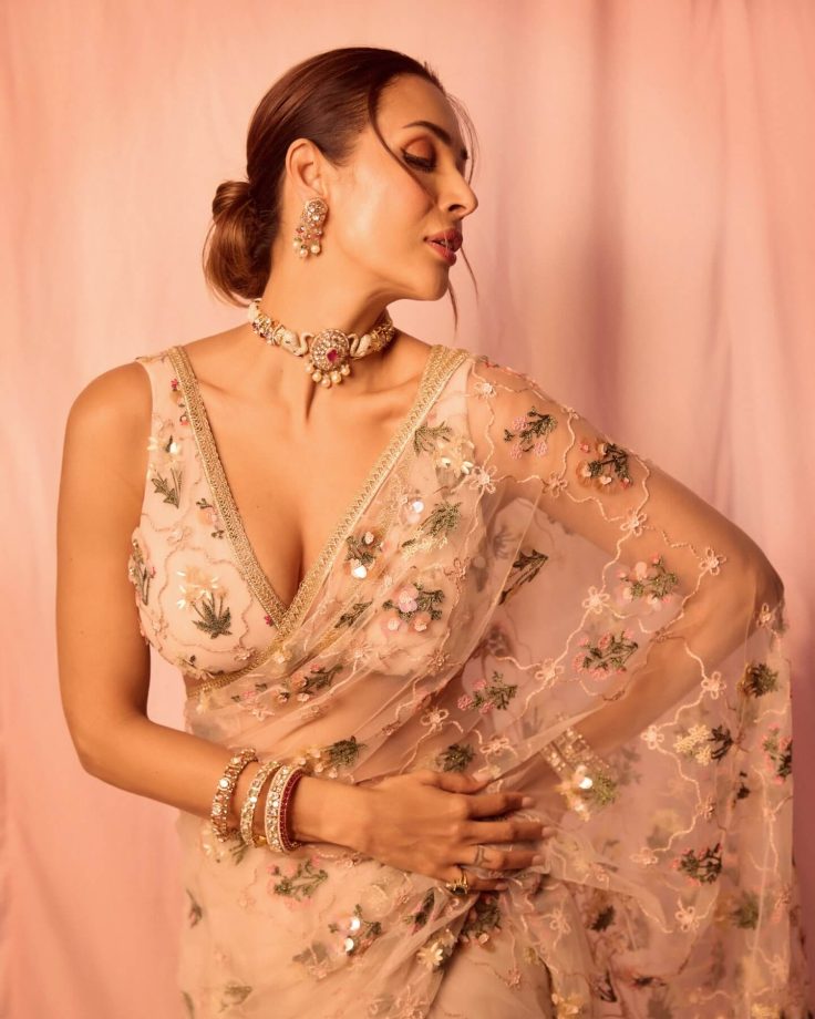 Malaika Arora Sets Hearts Racing In See-Through Pink Saree With Daring V-Neck Blouse: See Pics 991101