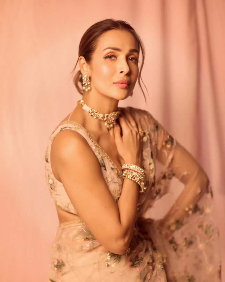 Malaika Arora Sets Hearts Racing In See-Through Pink Saree With Daring V-Neck Blouse: See Pics 991103