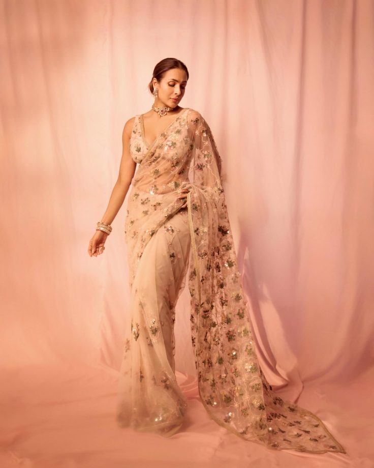 Malaika Arora Sets Hearts Racing In See-Through Pink Saree With Daring V-Neck Blouse: See Pics 991098