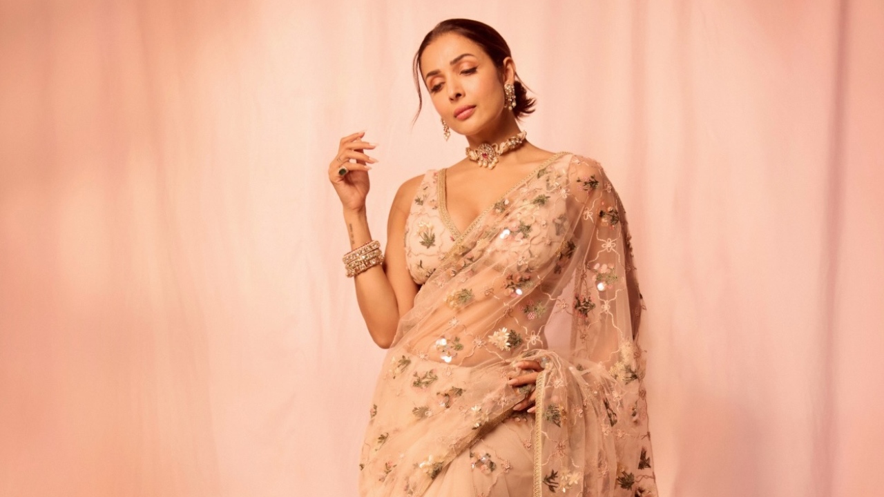 Malaika Arora Sets Hearts Racing In See-Through Pink Saree With Daring V-Neck Blouse: See Pics 991106