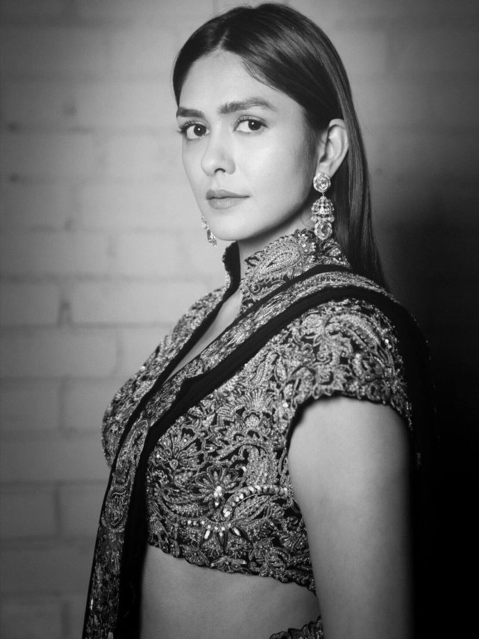 Mrunal Thakur Stuns in Designer Shyama Saree Set by Mrunalini Rao at Vijay and Rashmika’s Wedding Reception 990005