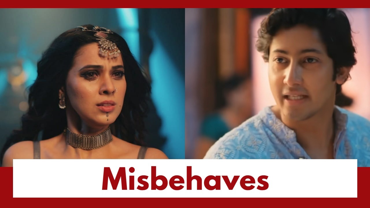 Naagin 7 Upcoming Twist: Ravish misbehaves with Bharani; Will he be the next target? 990601