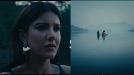 Tu Yaa Main Box Office Collection – Day 20