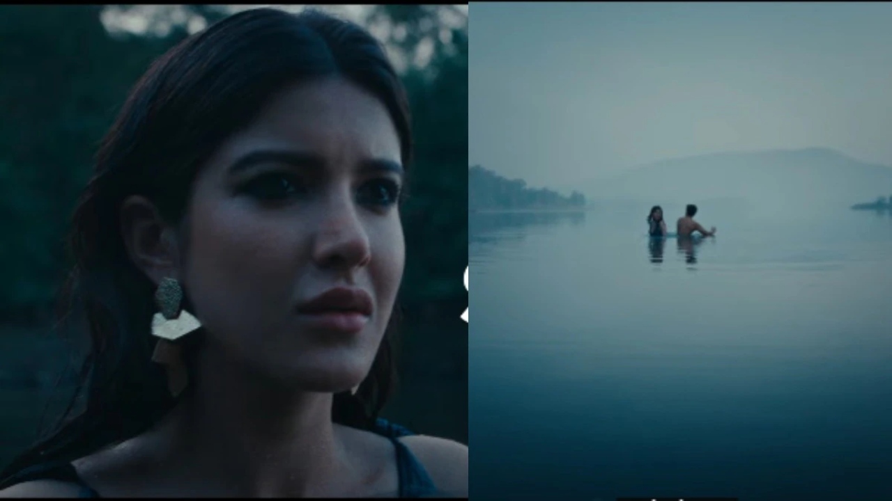 Tu Yaa Main Box Office Collection – Day 20 989347