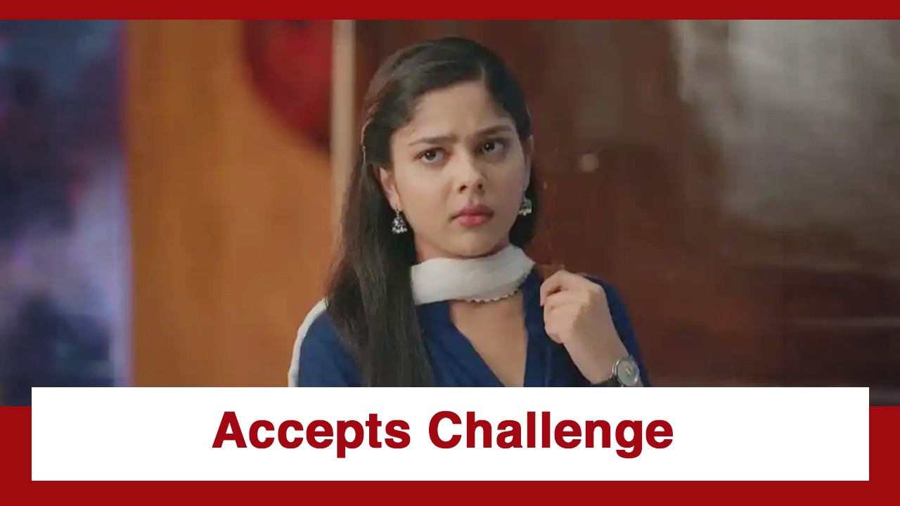 Tumm Se Tumm Tak Upcoming Twist: Anu accepts Harsh's challenge; ready to undertake a makeover 990623