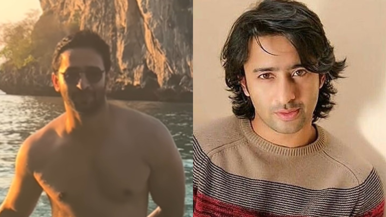 TV Heartthrob Shaheer Sheikh Turns 42; Flaunts Fit Physique In Sizzling Getaway Glimpse 992474