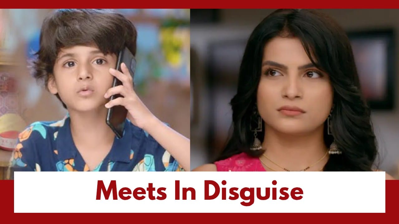 Udne Ki Aasha Upcoming Twist: Roshni takes a disguised look to meet Krish; Will Sachin and Sailee know? 992226