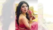 Anupamaa’s Raahi Aka Adrija Roy Stuns In Pink Saree With Strapless Blouse, Moti Baa’s Reaction Steals Attention