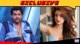 Exclusive: Splitsvilla X6 fame Sorab Bedi and Niharika Tiwari approached for Khatron Ke Khiladi 15