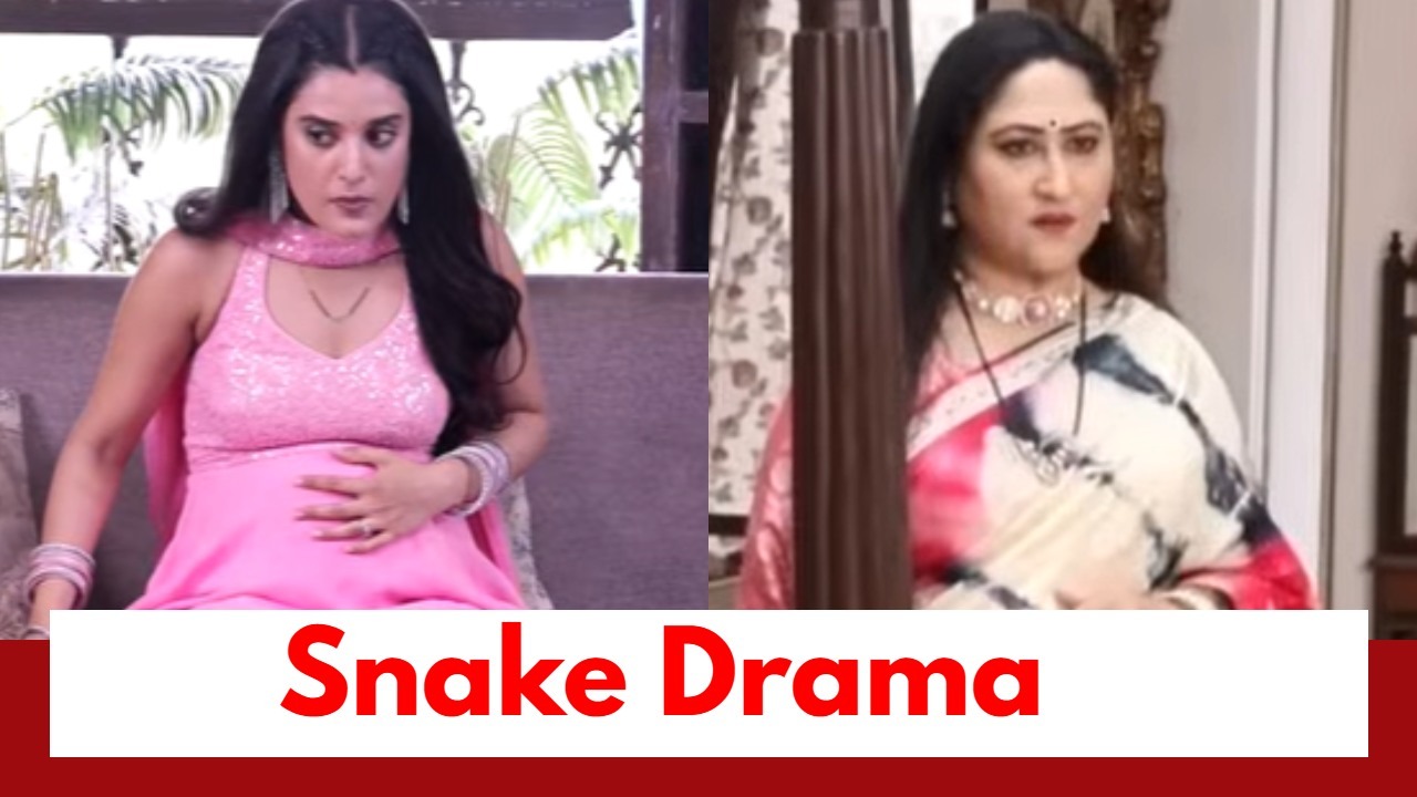 Jaane Anjaane Hum Mile Upcoming Twist: Reet's baby shower brings a happy moment; Buaji gets a snake to kill Reet 995486