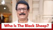 Lakshmi Niwas Upcoming Twist: OMG!! Radhika loses the proof to save Srinivas; Who is the black sheep at home?