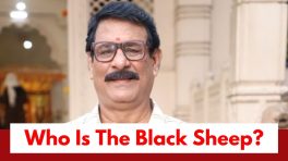 Lakshmi Niwas Upcoming Twist: OMG!! Radhika loses the proof to save Srinivas; Who is the black sheep at home?