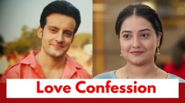 Lakshmi Niwas Upcoming Twist: Veer plans to confess his love to Radhika; Will he succeed?