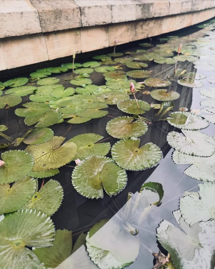 Malavika Mohanan Enjoys A Cozy Tropical Getaway In Java 994505