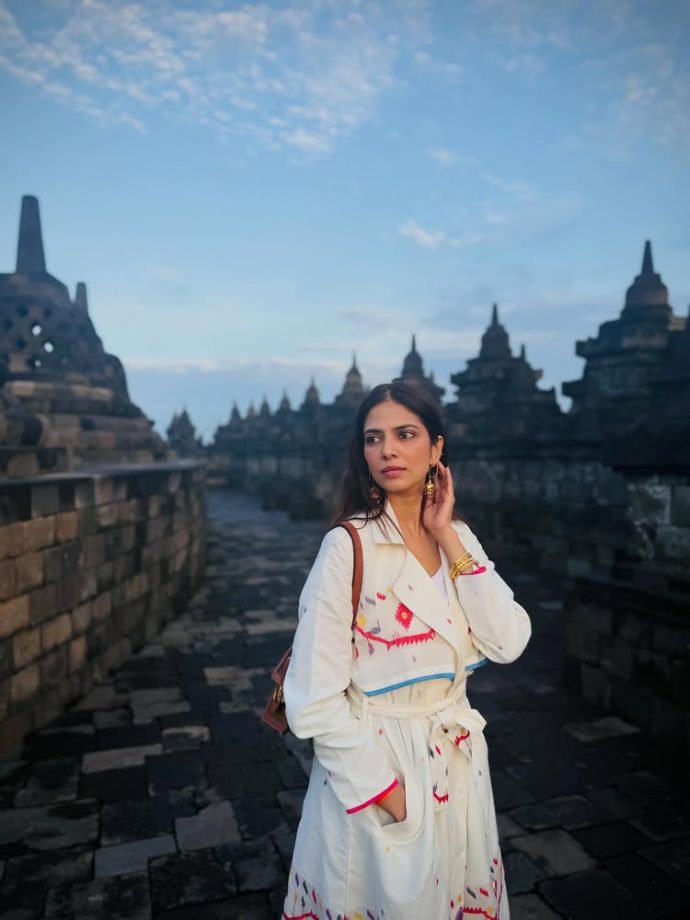Malavika Mohanan finds calm and magic at Borobudur temple during sunrise visit 995920