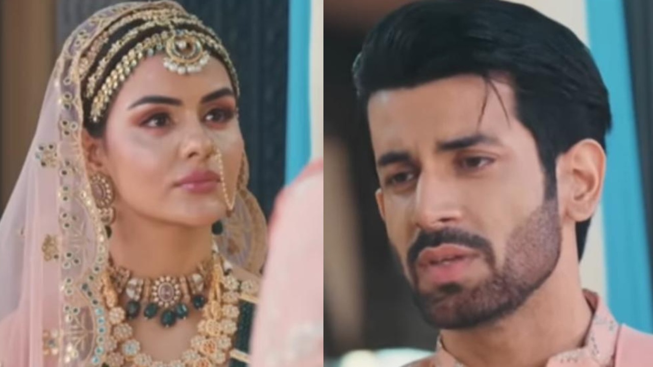 Naagin 7 Episode 35 & 36 Written Update 25 & 26 April 2026: Aryaman And Ahana Get Divorced; Radhika Plots Big 995583