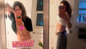Pooja Batra Flaunts Toned Abs at 49 in Mirror Selfie, Keeps It Real in Crop Top and Pants