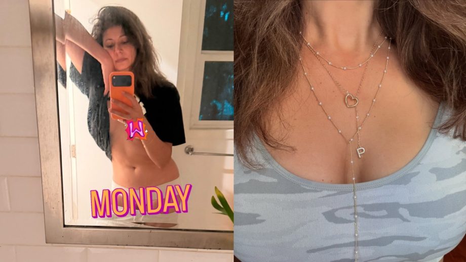 Pooja Batra Flaunts Toned Abs at 49 in Mirror Selfie, Keeps It Real in Crop Top and Pants 995671