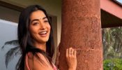 Pooja Hegde Shares Mangalore Trip Moments in Pink Saree, Gives a Glimpse of Food, Beach, and Temple Visit