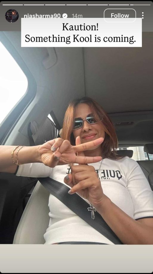 Rubina Dilaik, Farhana Bhatt, Jasmin Bhasin, To Aly Goni—Actors Post With 'K' Sign Spark Khatron Ke Khiladi 15 Buzz 995591