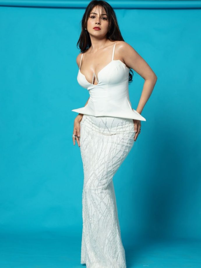 Shehnaaz Kaur Gill Turns Heads In A Stunning White Gown With Bold Glam Touch 993662