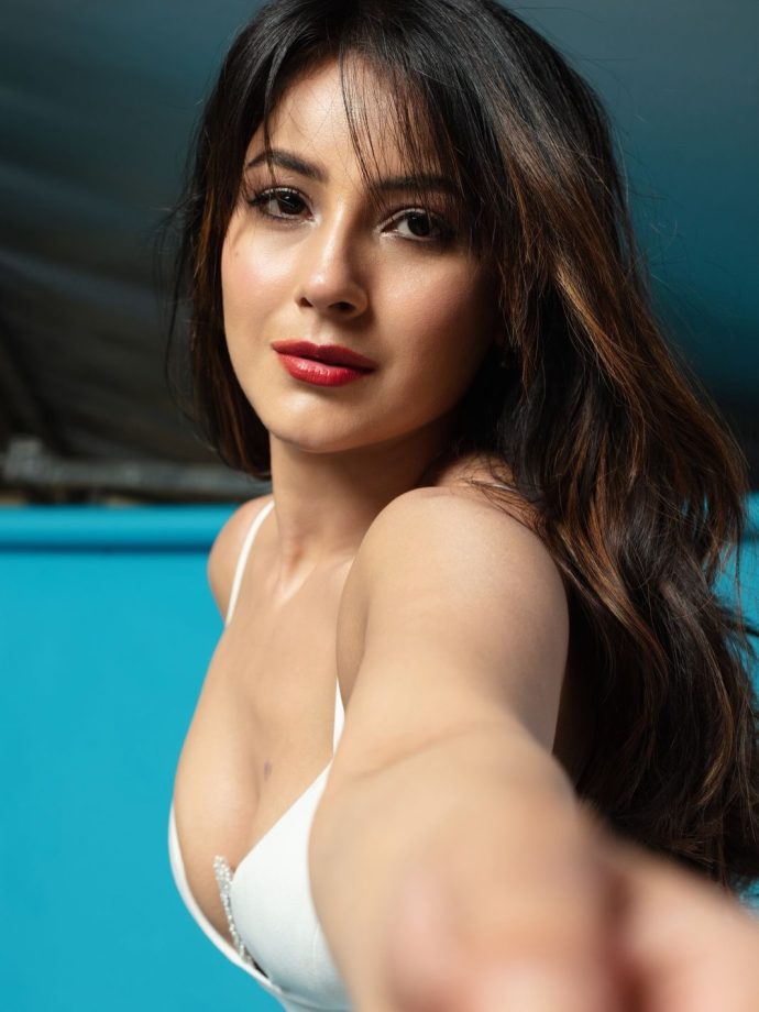 Shehnaaz Kaur Gill Turns Heads In A Stunning White Gown With Bold Glam Touch 993665