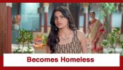 Udne Ki Aasha Upcoming Twist: Roshni becomes homeless; Who will help her now?