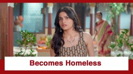 Udne Ki Aasha Upcoming Twist: Roshni becomes homeless; Who will help her now?