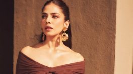 Malavika Mohanan keeps it sharp in a fitted brown gown