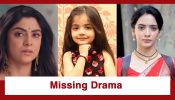 Jagadhatri Upcoming Twist: Jagadhatri and Gunjan go missing; Maya’s dislike for Jagadhatri at its peak