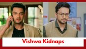 Mahadev & Sons Upcoming Twist: Vishwa kidnaps Ashish; Read to know details