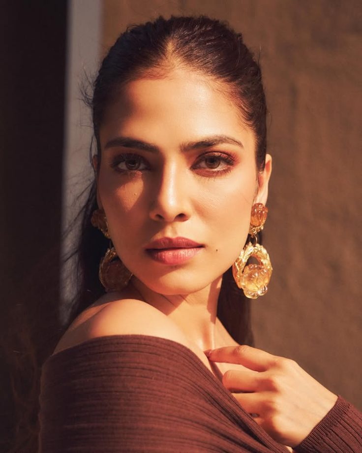 Malavika Mohanan keeps it sharp in a fitted brown gown 996024