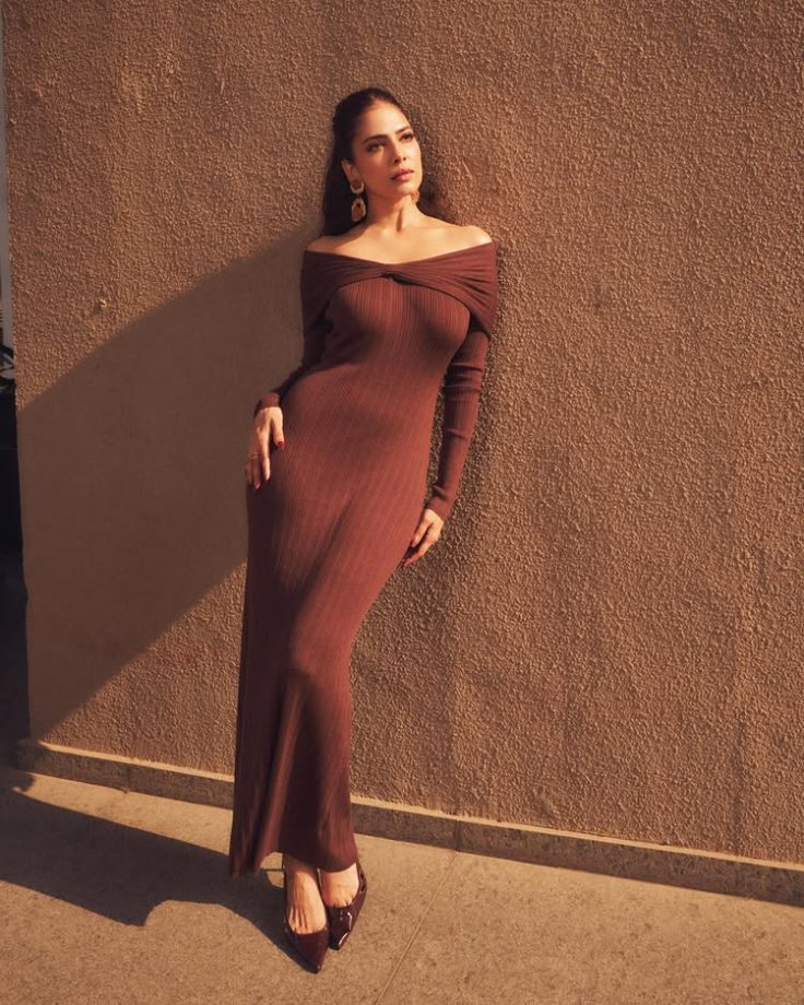 Malavika Mohanan keeps it sharp in a fitted brown gown 996023