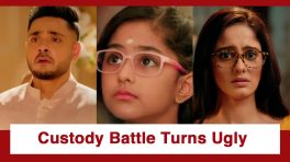 Mannat Har Khushi Paane Ki Upcoming Twist: Dua's custody battle gets ugly; Vikrant and Mannat cross swords
