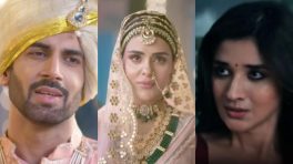 Naagin 7 Episode 37 & 38 Written Update 2 & 3 May 2026: Ahana-Aryaman Get Married, Radhika Turns The Tables