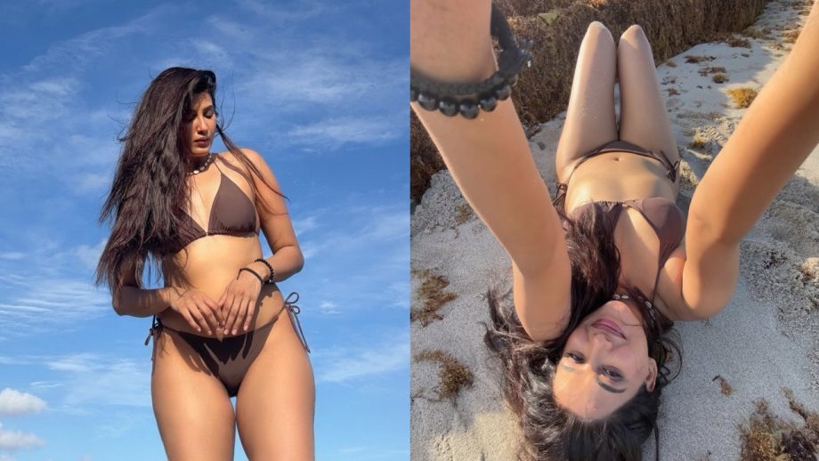 Nimrit Kaur Ahluwalia Drops Brown Bikini Looks From Her Beach Vacation 998015