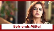 Vasudha Upcoming Twist: Karishma meets Mittal; tries to befriend him
