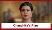Vasudha Upcoming Twist: OMG!! Chandrika Singh Chauhan hits back at Karishma; Will the ploy work?