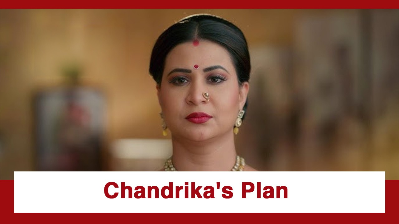 Vasudha Upcoming Twist: OMG!! Chandrika Singh Chauhan hits back at Karishma; Will the ploy work? 997697