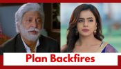 Vasudha Upcoming Twist: OMG!! Chauhans' plan backfires; worry about Karishma's new stand