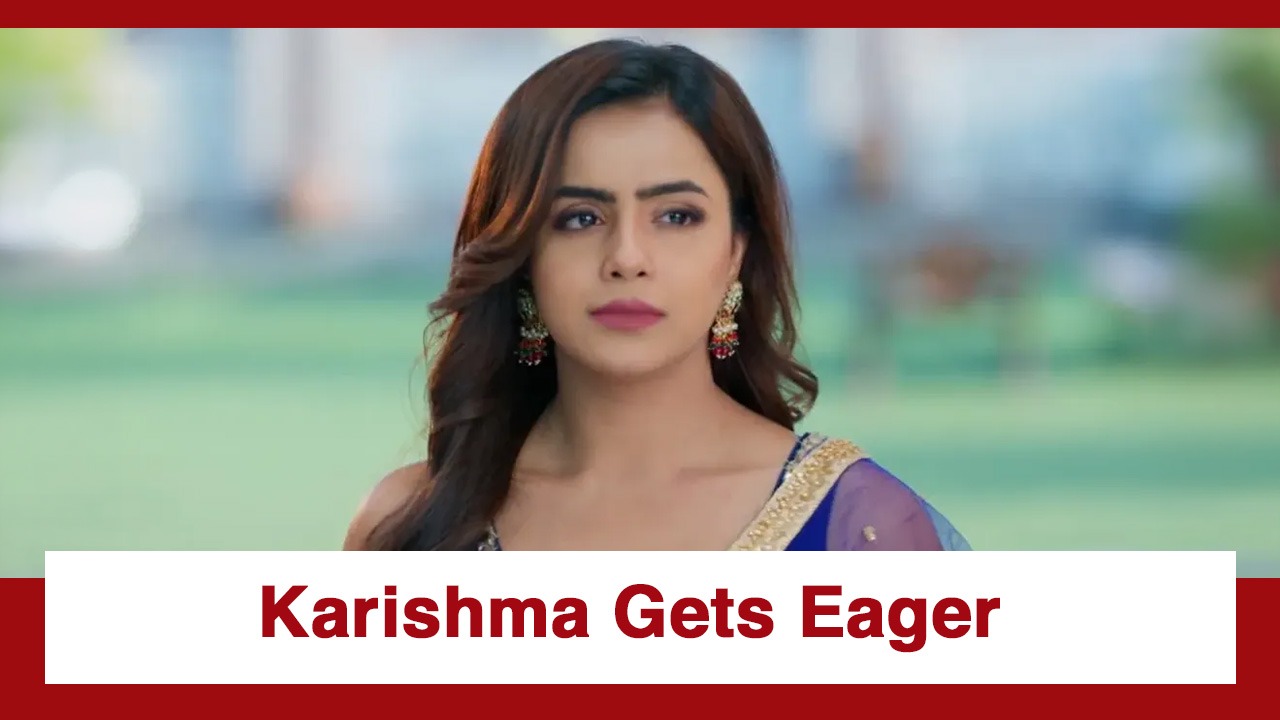 Vasudha Upcoming Twist: OMG!! Karishma eager to meet Mittal; her men attack Avinash 996173