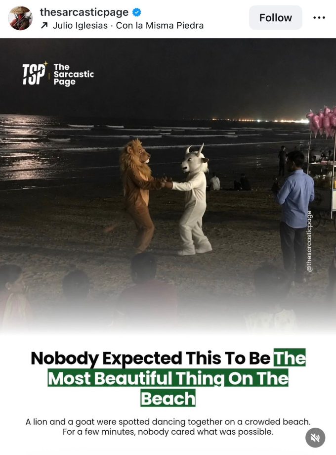 A Sher and a Bakri in Love? This Unlikely Couple Has Become Mumbai's Latest Obsession — Netizens Can't Stop Talking About Them 1000449
