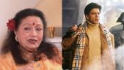 Actress Bindu Recalls Shah Rukh Khan's Sweet Gesture At Main Hoon Na Set Calls Him A "Gentleman" 1